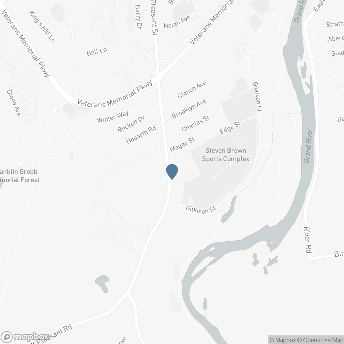 232 MOUNT PLEASANT Street, Brantford, Ontario N3T 1V1